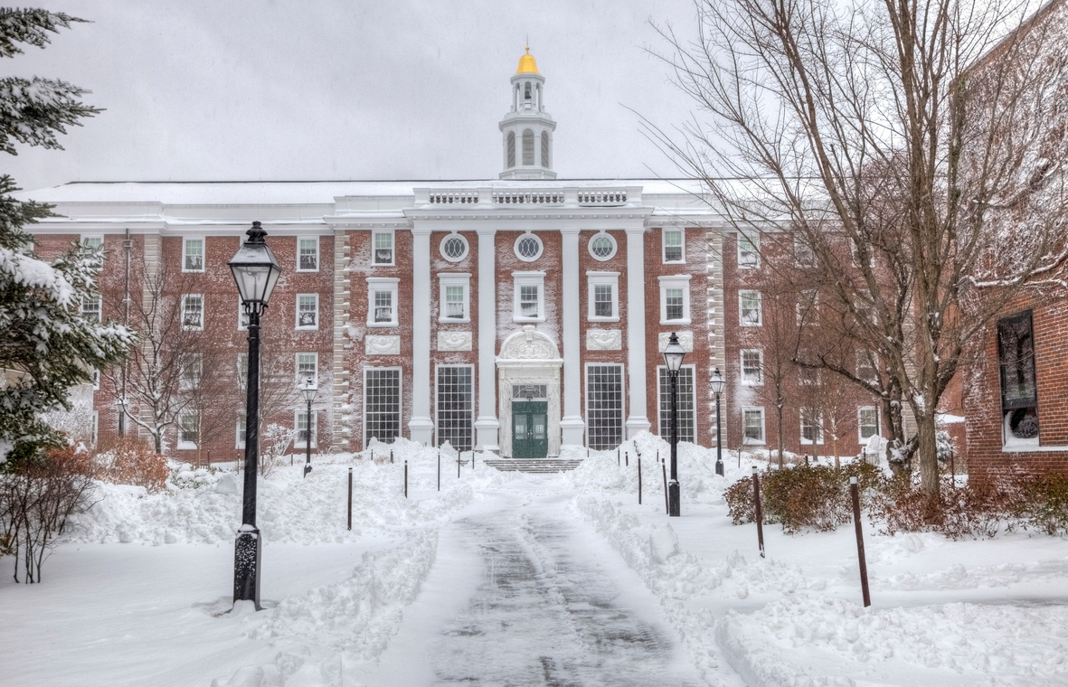 Harvard Winter